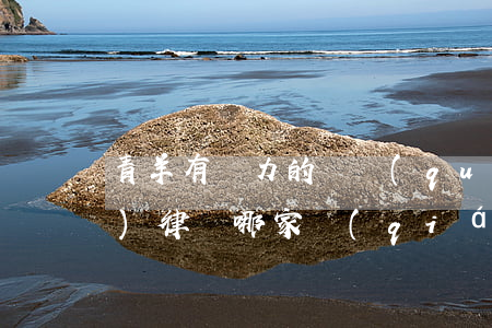 青羊有實力的債權(quán)債務(wù)律師哪家強(qiáng)(成都青羊區(qū)律師事務(wù)所排行前10)