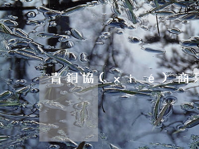 青銅協(xié)商只還本金