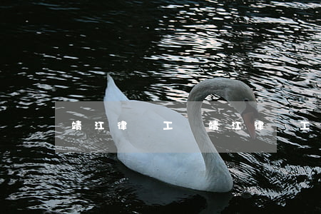 靖江律師工傷(靖江律師工傷)