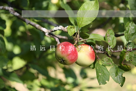 靖远县检察院检察长(靖远检察院网)