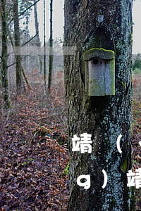 靖遠(yuǎn)縣司法局局長(zhǎng)(靖遠(yuǎn)縣司法局電話號(hào)碼)