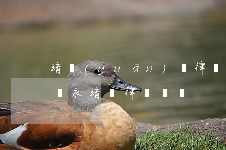 靖遠(yuǎn)縣律師事務(wù)所收費(永靖縣律師電話)