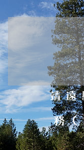 靖遠縣律師事務(wù)所地址(靖遠律師事務(wù)所位置)