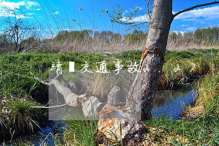 靖邊交通事故2.27