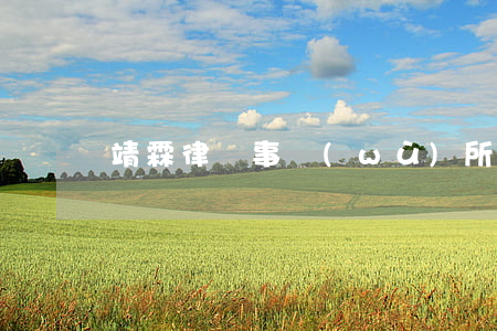 靖霖律師事務(wù)所官網(wǎng)