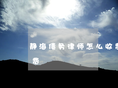 静海债务律师怎么收费(静海债务律师怎么收费)