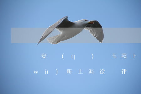靜安區(qū)張玉霞上海申浩律師事務(wù)所(上海徐匯律師事務(wù)所)
