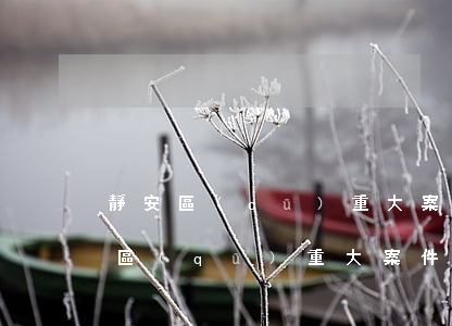靜安區(qū)重大案件律師怎么委托(靜安區(qū)重大案件律師怎么委托)