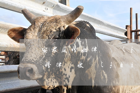 靜安家庭婚姻律師費(fèi)用多少(西安離婚律師收費(fèi)多少)