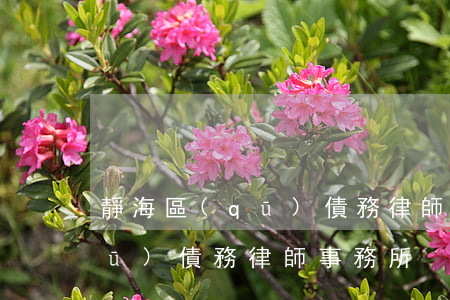 靜海區(qū)債務律師事務所(靜海區(qū)債務律師事務所)