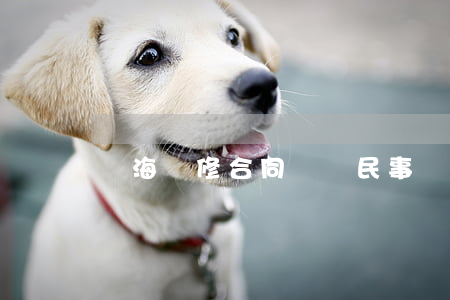 靜海裝修合同糾紛(民事裝修合同糾紛)
