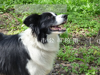 非上市公司的期權(quán)激勵方案