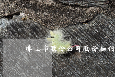 非上市股份公司股份如何轉(zhuǎn)讓