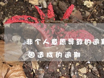 非个人意愿导致的逾期怎么消除-非个人原因造成的逾期