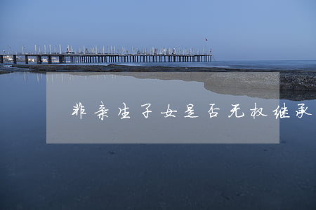 非亲生子女是否无权继承遗产？