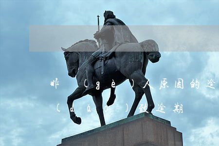 非個(gè)人原因的逾期還款(還款失敗導(dǎo)致逾期)