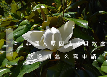 非個人原因造成貸款逾期(非個人原因造成貸款逾期怎么寫申請)