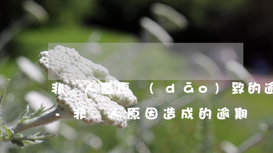非個人意愿導(dǎo)致的逾期怎么消除-非個人原因造成的逾期