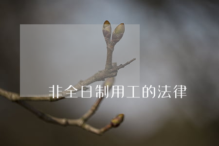 非全日制用工的法律問題