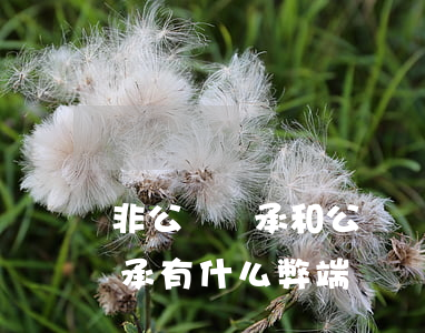 非公證繼承和公證繼承有什么不同(非公證繼承有什么弊端)