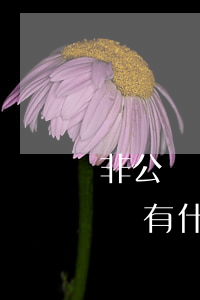 非公開發(fā)行公司債券與私募是否一樣,有什么區(qū)別
