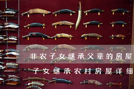 非农子女继承父辈的房屋怎么办(非农业户口子女继承农村房屋详细流程)