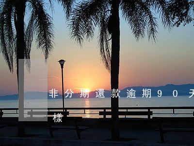非分期還款逾期90天(分期逾期10天會怎樣)