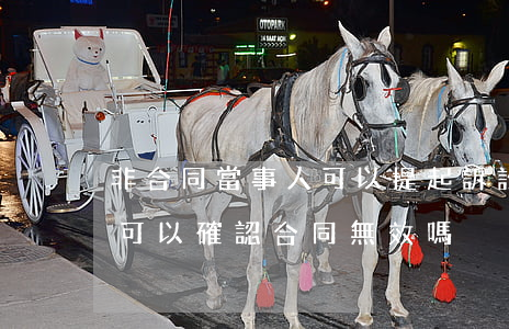 非合同當事人可以提起訴訟嗎(非合同當事人可以確認合同無效嗎)