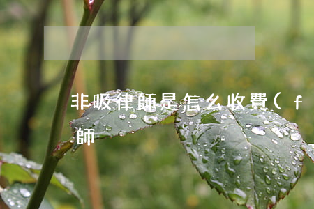 非吸律師是怎么收費(fèi)的(非吸案律師)