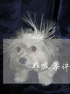 非吸案件律師怎么收費(非吸案律師作用大嗎)