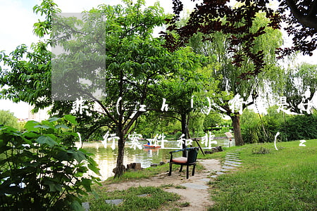 非執(zhí)行案是什么意思(執(zhí)行案件和非訴執(zhí)行案件的區(qū)別)