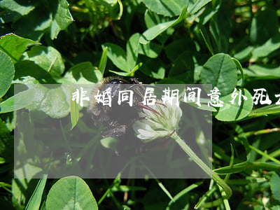 非婚同居期间意外死亡,另一方有无继承权
