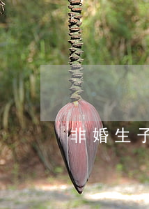 非婚生子女怎么拿回抚养权