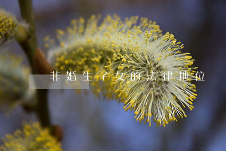 非婚生子女的法律地位
