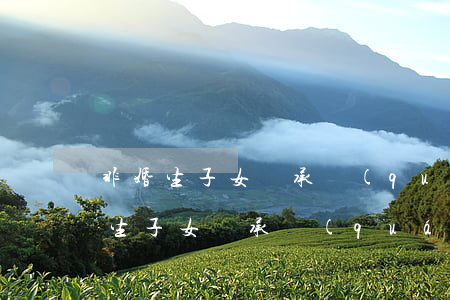 非婚生子女繼承權(quán)(婚生和非婚生子女繼承權(quán))