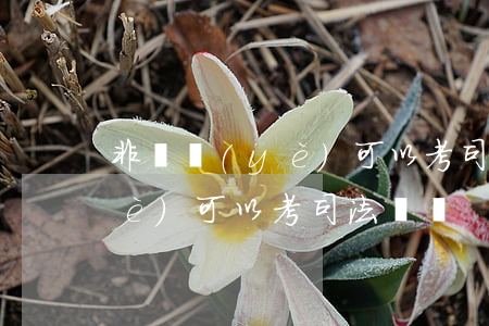 非專業(yè)可以考司法證嗎(非專業(yè)可以考司法證嗎)