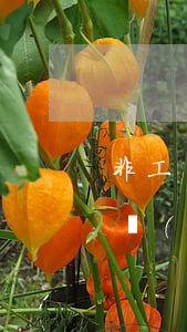 非工傷請(qǐng)假需要什么證明(工傷請(qǐng)病假需要什么證明)
