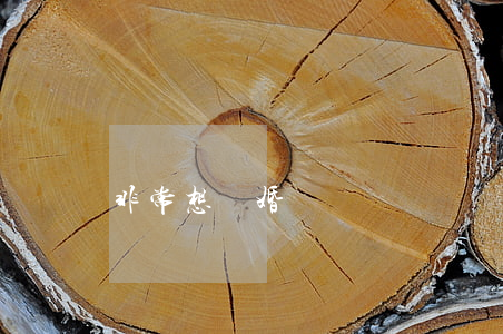 非常想離婚