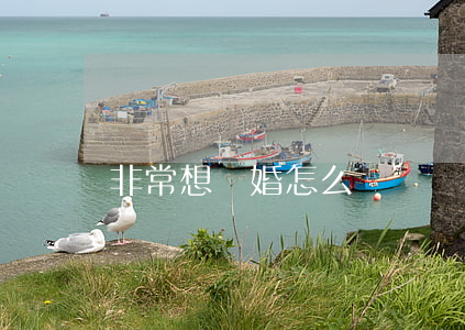 非常想離婚怎么辦