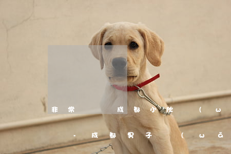非常話題成都小伙網(wǎng)貸欠40萬-成都男子網(wǎng)貸