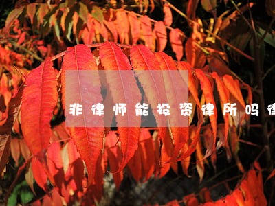 非律师能投资律所吗(律师可以投资公司吗)