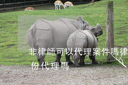 非律師可以代理案件嗎(律師可以以非律師身份代理嗎)