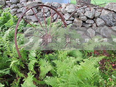 非律師可以代理案件嗎(非律師可以代理案件嗎)