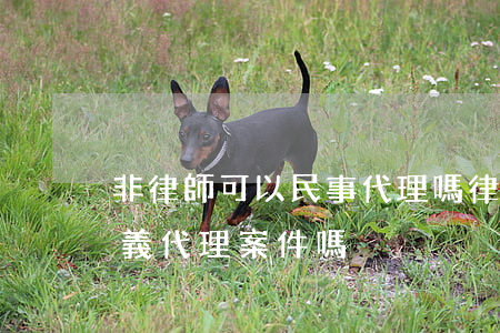 非律師可以民事代理嗎(律師可以不以律師名義代理案件嗎)