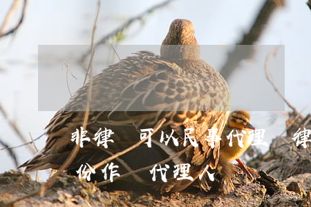 非律師可以民事代理嗎(律師能否以非律師身份作為代理人)