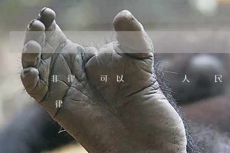 非律師可以當辯護人嗎(民事辯護人一定要是律師嗎)