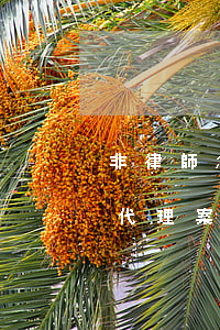 非律師怎么代理案件(律師可以不以律師名義代理案件嗎)