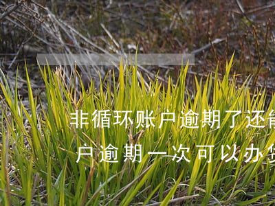 非循环账户逾期了还能用借呗吗-非循环账户逾期一次可以办贷款吗