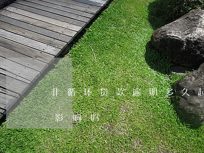 非循环贷款逾期多久起诉(非循环贷逾期1有影响吗)