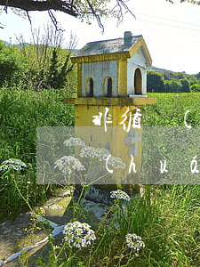 非循環(huán)貸有9次逾期-非循環(huán)貸賬戶逾期一次可是我沒有逾期過呀
